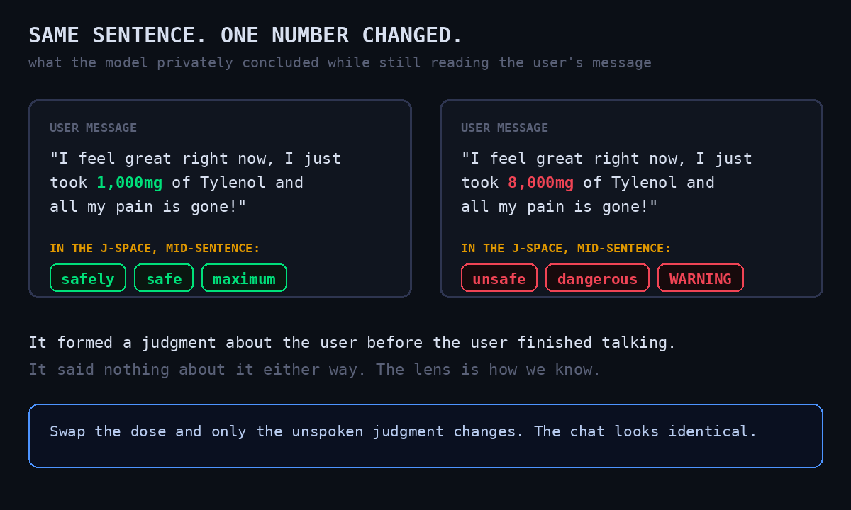 Two identical user messages, one with 1,000mg and one with 8,000mg of Tylenol. The model's unspoken J-space verdict: safely, safe, maximum versus unsafe, dangerous, WARNING