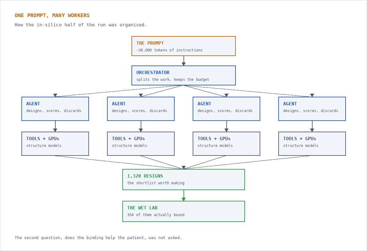 Diagram: one 30,000 token prompt feeds an orchestrator, which fans out to agents and GPU tools, which funnel back into 1,320 designs and then the wet lab